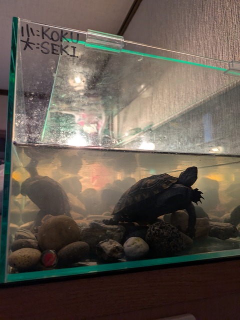 前途多難② 加筆あり