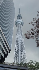 1f52aa5a.jpg