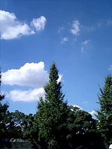 e3e90408.jpg