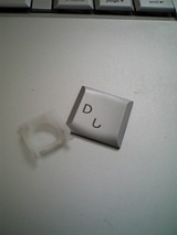 19dbdf54.jpg