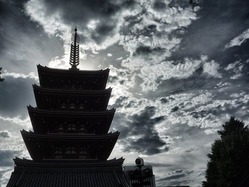 1207161