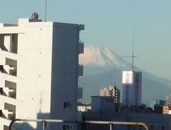 �դ�����