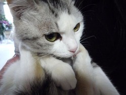 1302094