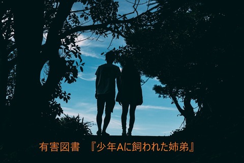 タイトル 少年A