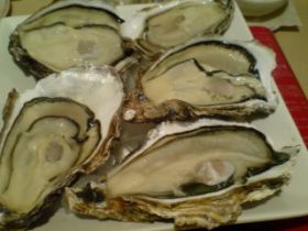 027d298a.jpg