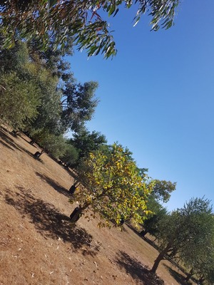 20190211_113742