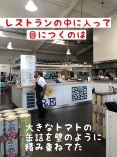 phonto (17)