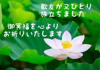 phonto - 2023-07-17T165132.270