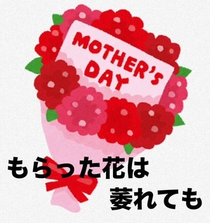 phonto - 2025-05-14T140647.174