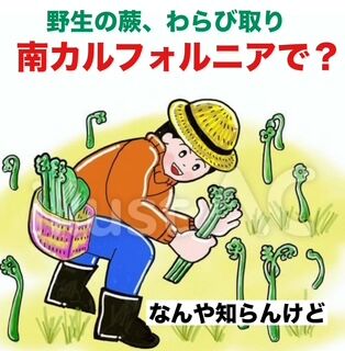 phonto - 2026-04-19T183621.511