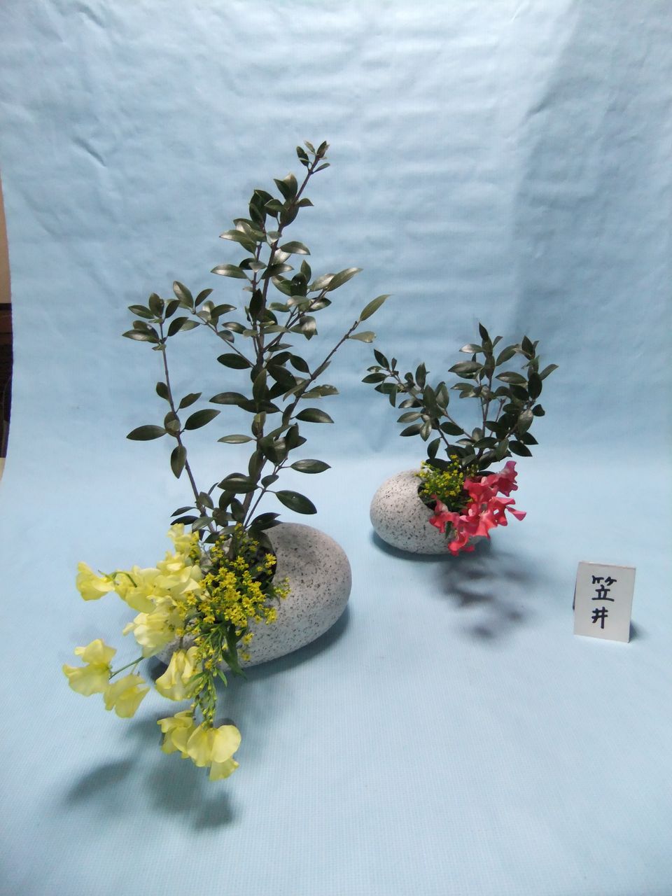 節分の花を生けました 花の心に ふれながら 節分の花を生けました 花の心に ふれながら