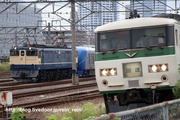 2019.9.29-001系D甲種,新鶴見185系と絡めて
