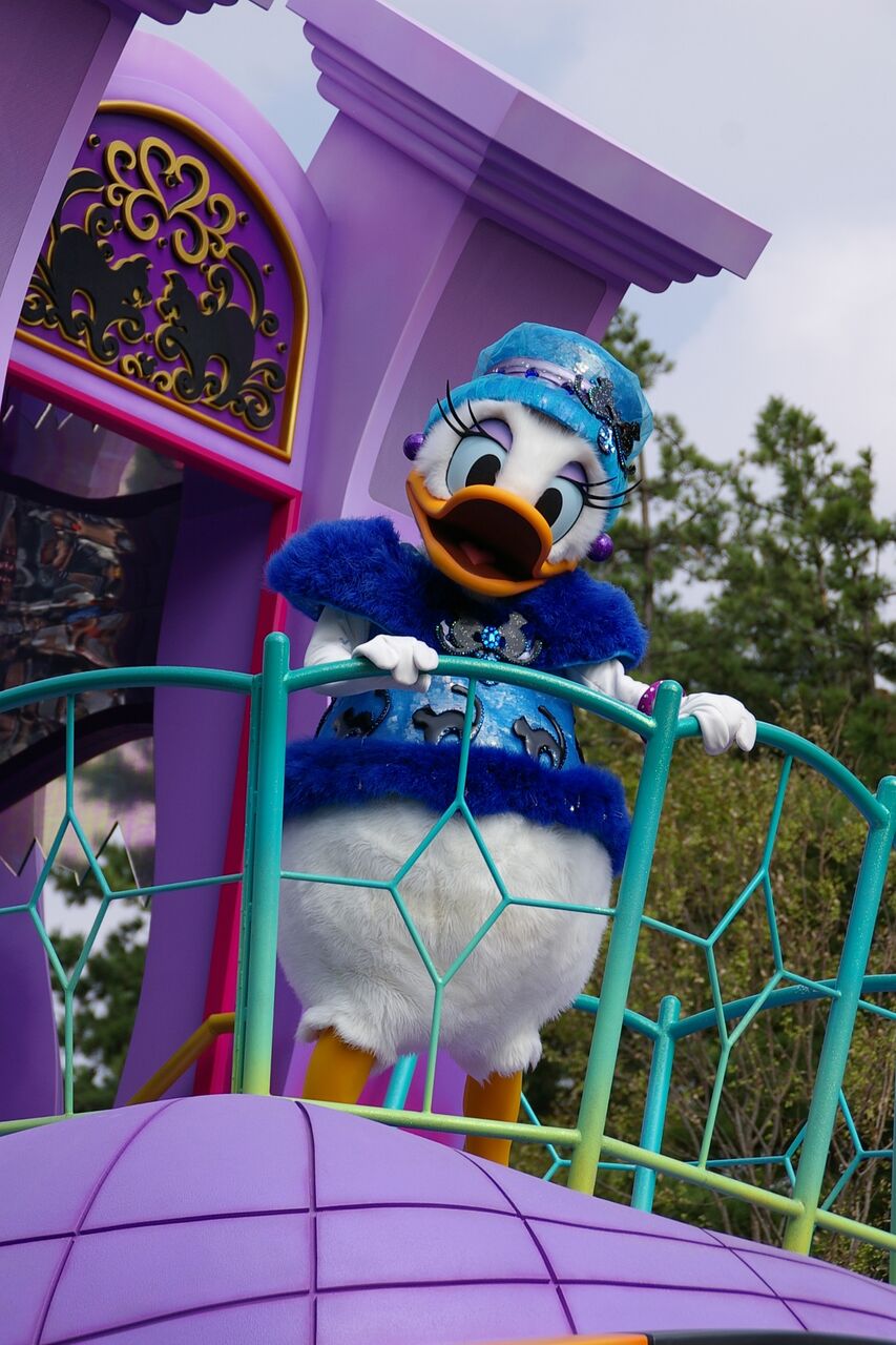 スプヴィル11のデイジー Dear Dream