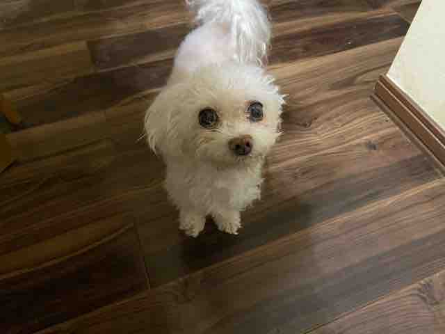 れい らな りん れな 自分の立ち位置が分かる子