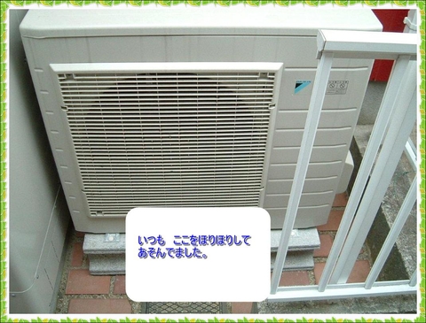 3b7fcf86.jpg