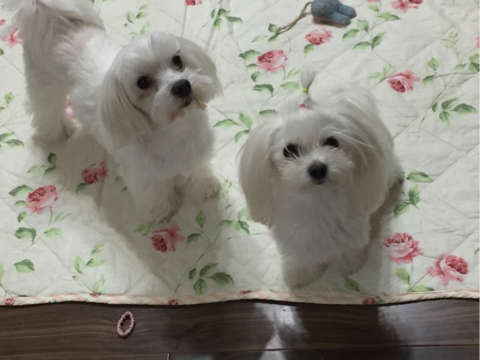 a314866a.png