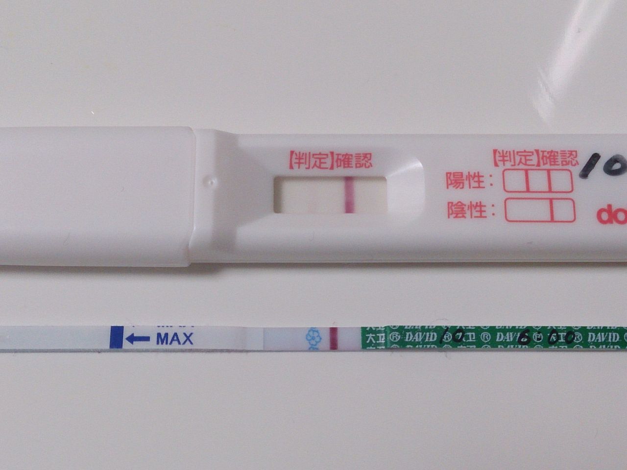 高温期 11日目