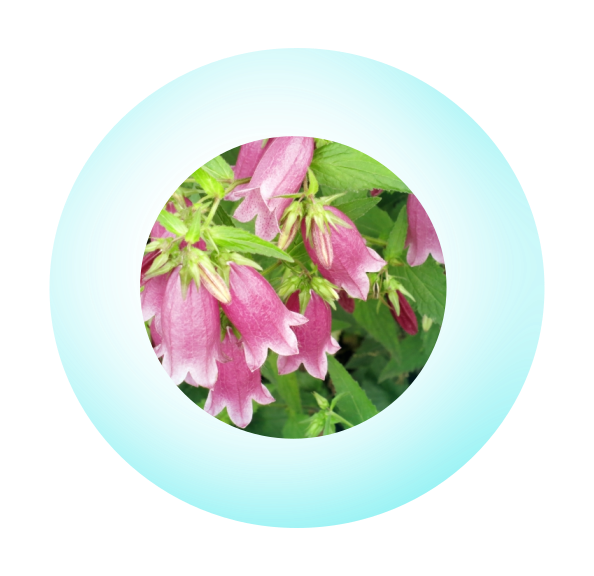 その他 Saraponの趣味blog