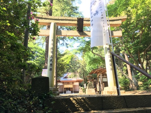 式内社・蛟蝄神社（こうもうじんじゃ）画像