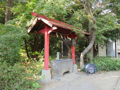 飯玉神社(いいだまじんじゃ)画像