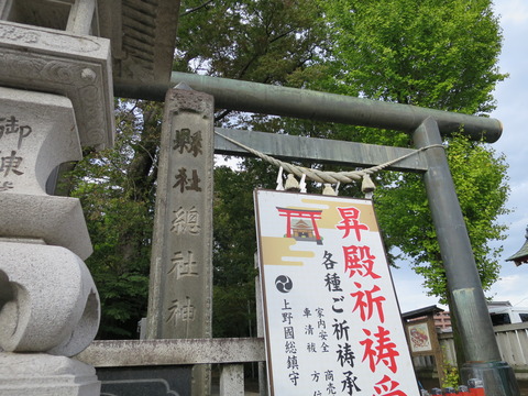 上野国総社・総社神社(そうじゃじんじゃ)画像