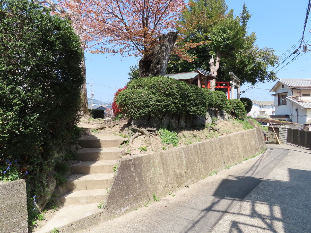式内社・伊達神社（だてじんじゃ・余部町）／京都府亀岡市 令和式神名帳