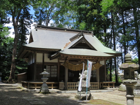 式内社・大國玉神社(おおくにたまじんじゃ)画像