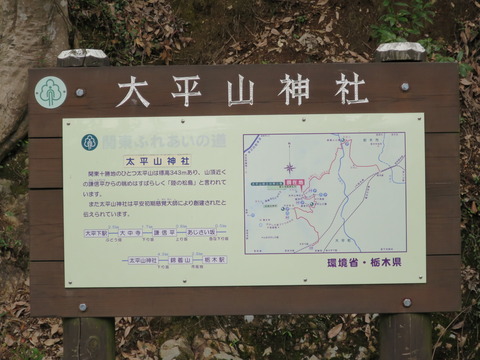 大平山神社(おおひらさんじんじゃ)画像