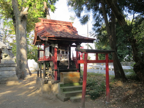 飯玉神社(いいだまじんじゃ)画像
