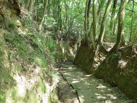 式内社・長幡部神社（ながはたべじんじゃ）画像