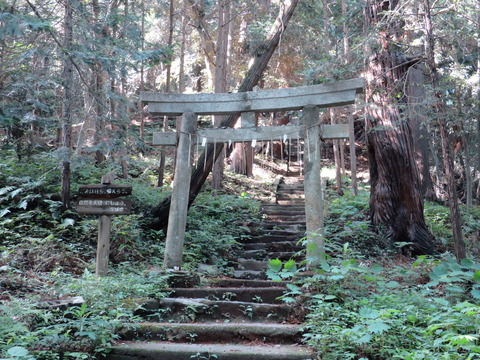 式内社・佐志能神社(さしのじんじゃ・染谷)画像