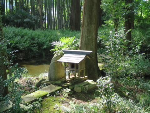 式内社・近津神社(ちかつじんじゃ)画像