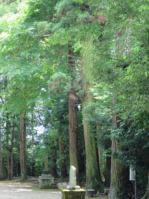 式内社・大國玉神社(おおくにたまじんじゃ)画像