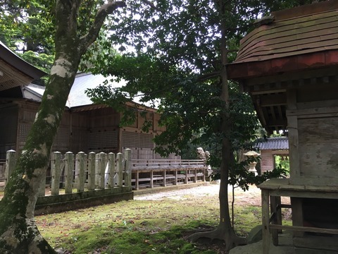 式内社・波波伎神社（ははきじんじゃ）画像