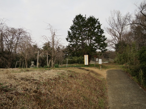 【相模国三宮】比々多神社（ひびたじんじゃ）