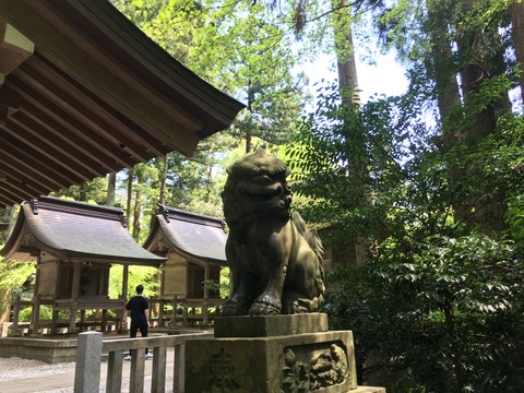 【越後国一宮】彌彦神社(やひこじんじゃ)画像