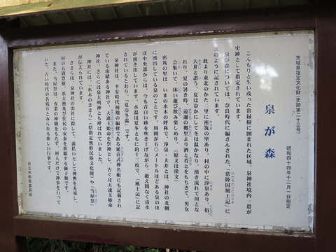 式内社・泉神社(いずみじんじゃ)画像
