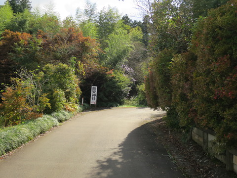式内社・胎安神社(たやすじんじゃ)画像