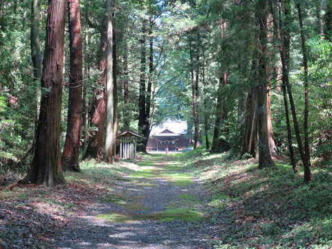 式内社・大井神社(おおいじんじゃ)画像