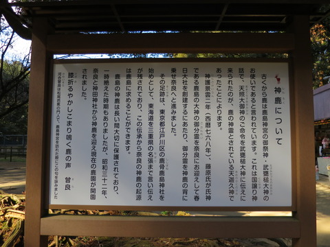 鹿島神宮(かしまじんぐう)