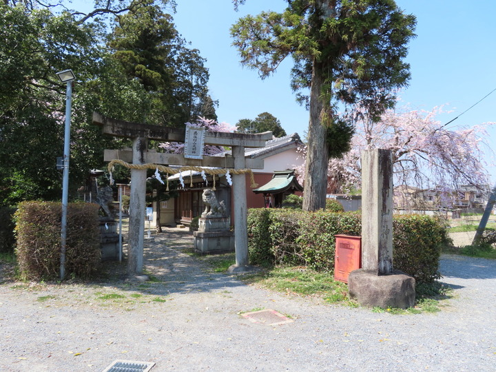 Murayama002