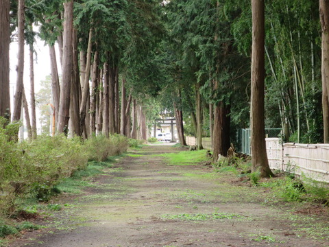 下野国総社・大神神社(おおみわじんじゃ)画像