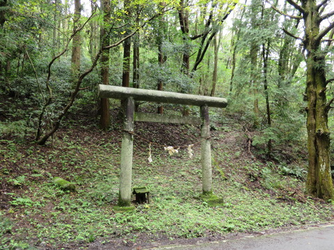 大平山神社(おおひらさんじんじゃ)画像