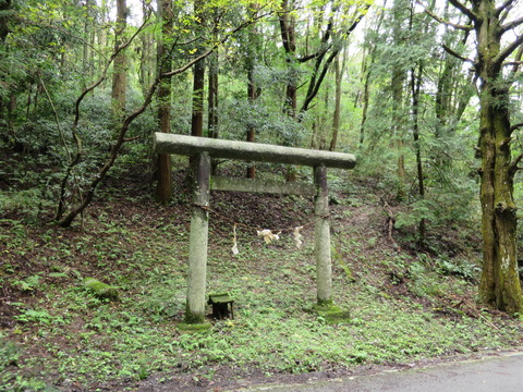 大平山神社（おおひらさんじんじゃ）画像