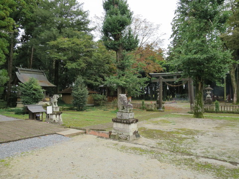 下野国総社・大神神社(おおみわじんじゃ)画像
