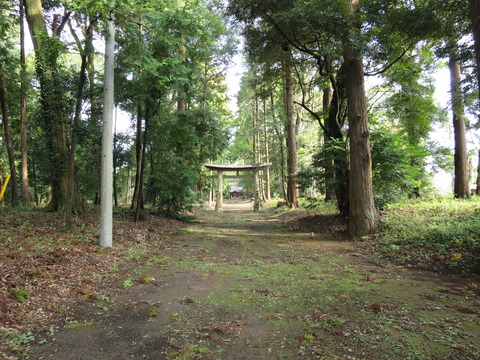 式内社・楯縫神社（たてぬいじんじゃ）画像