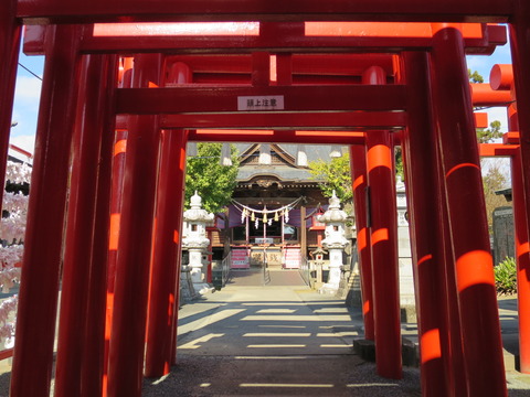 小泉稲荷神社(こいずみいなりじんじゃ)画像