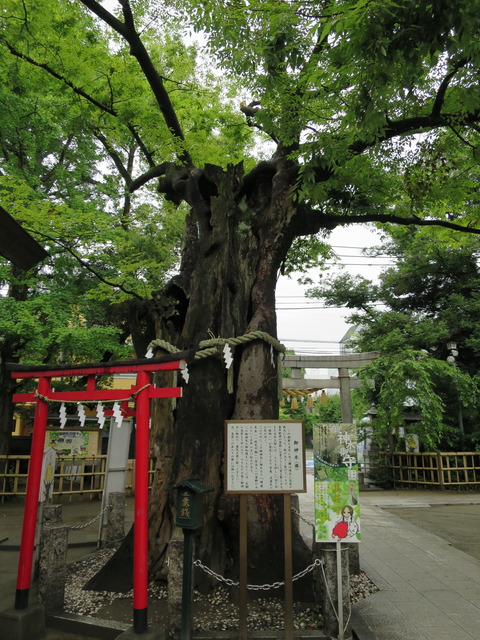 新田神社（にったじんじゃ）画像