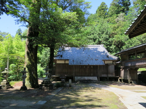 式内社・稲田神社(いなだじんじゃ)画像