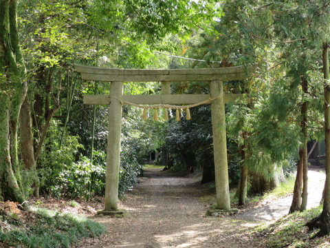 式内社・子安神社(こやすじんじゃ)画像